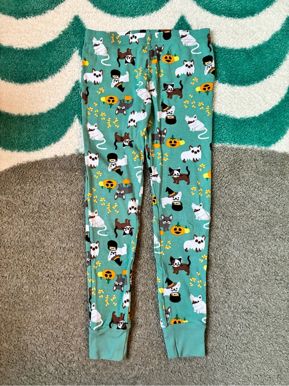 Lands’ End Snug Fit Halloween Pets PJ Set (Teal Shadow) Size 8